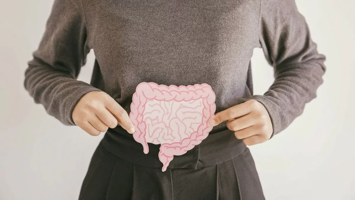 Person Holding Digestive System Cutout